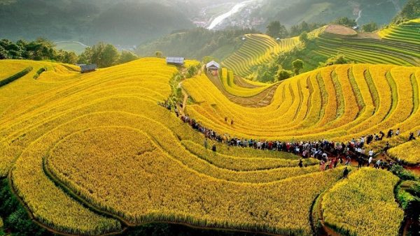 1205739133660158878685483737254814338510341 n 1601946397562