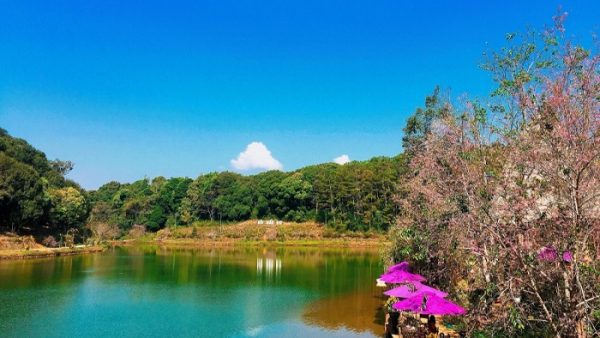 1821 52762315 2301957293385014 7445059390794629120 n