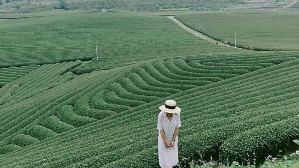 doi che long son phu tho 8