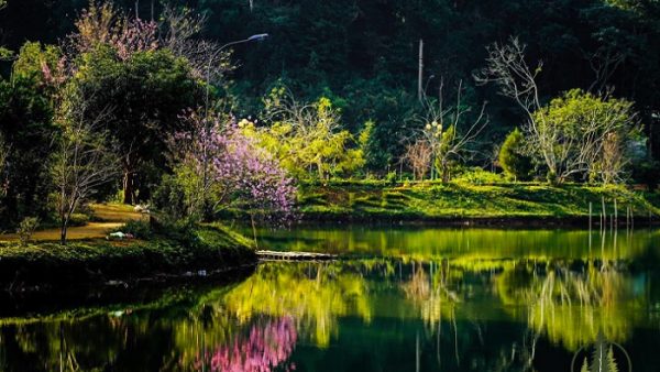 tour buon me thuot gia lai kon tum mang den hinh 3070920