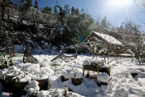 canh dep sapa mua dong