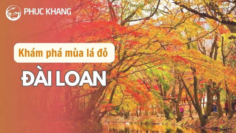 Mùa lá đỏ Đài Loan tháng mấy? Kinh nghiệm du lịch chi tiết 23 1 2
