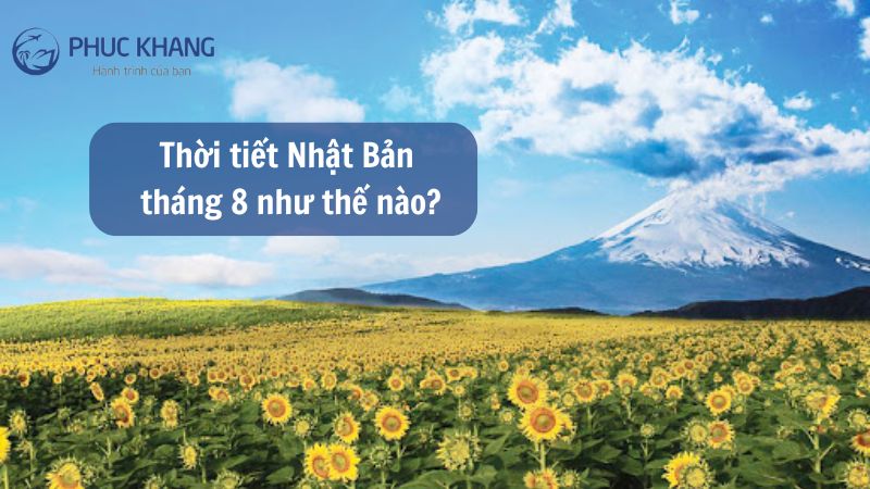 Thời tiết Nhật Bản tháng 8 như thế nào? Đi đâu, chơi gì? 19 1 4