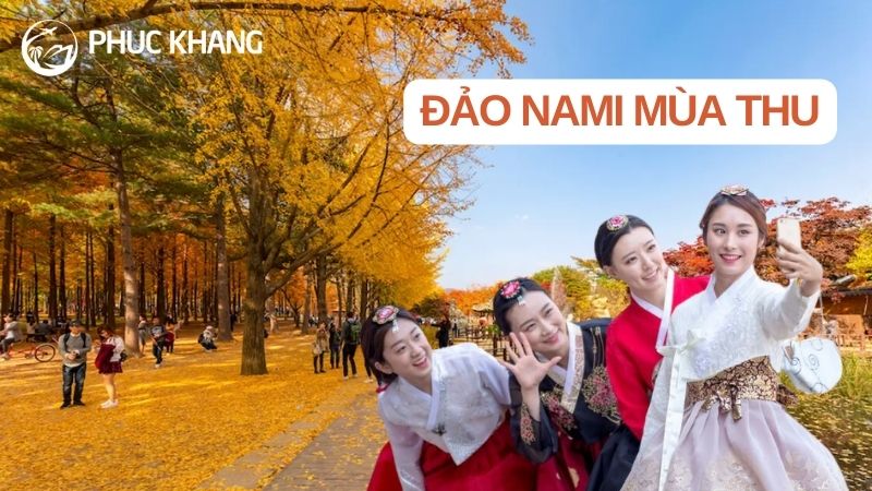 Cẩm nang du lịch đảo Nami mùa thu lá đỏ đẹp nhất năm 2024 20 3 2