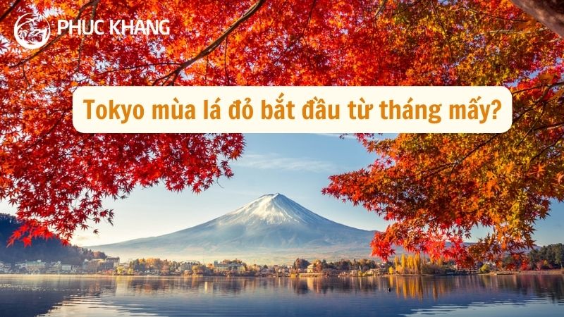Tokyo mùa lá đỏ bắt đầu từ tháng mấy? Bật mí 5 địa điểm ngắm lá đỏ đẹp nhất ở Tokyo, Nhật Bản 22 3