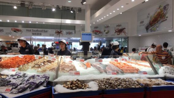 KHÁM PHÁ NƯỚC ÚC: HÀ NỘI – SYDNEY – CANBERRA – MELBOURNE 7N6Đ 31 Cho ca hai san