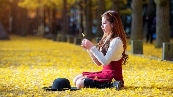 Cẩm nang du lịch đảo Nami mùa thu lá đỏ đẹp nhất năm 2024 3 dao-nami-mua-thu-2