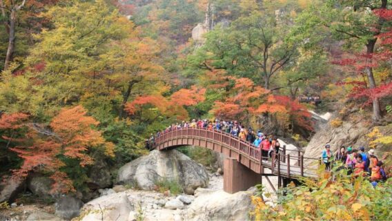 du-lich-seoul-17