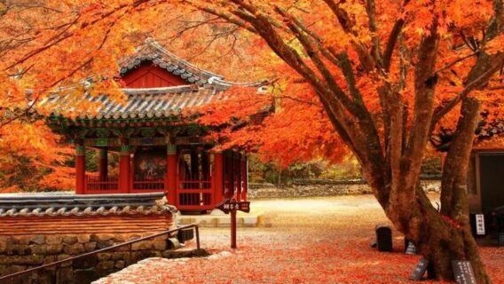 du-lich-seoul-2