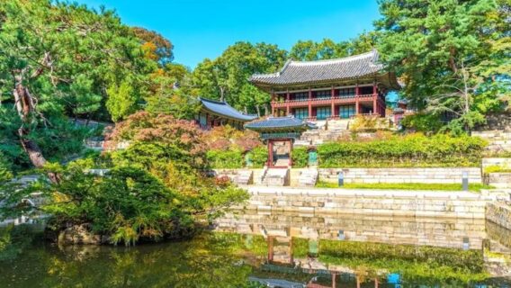 du-lich-seoul-8