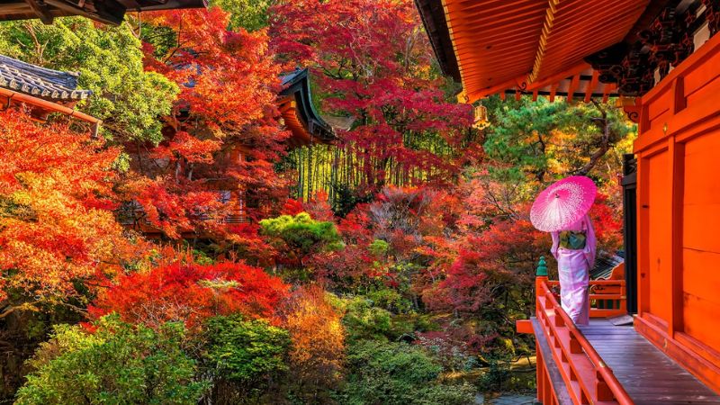 Du lịch Kyoto mùa lá đỏ: 10 địa điểm tham quan đẹp nhất 11 1